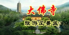黄片特黄片逼插中国浙江-新昌大佛寺旅游风景区